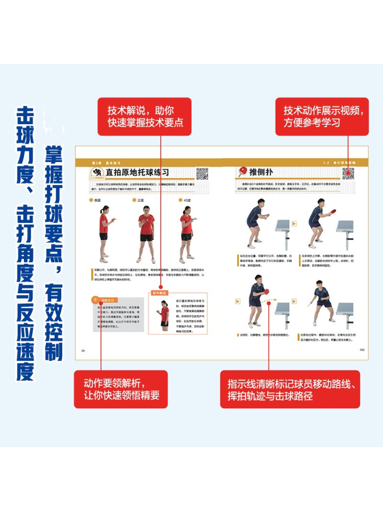 Book-Winshare イラスト付き卓球 快適な基礎テク - Table Tennis Video のレビューと価格